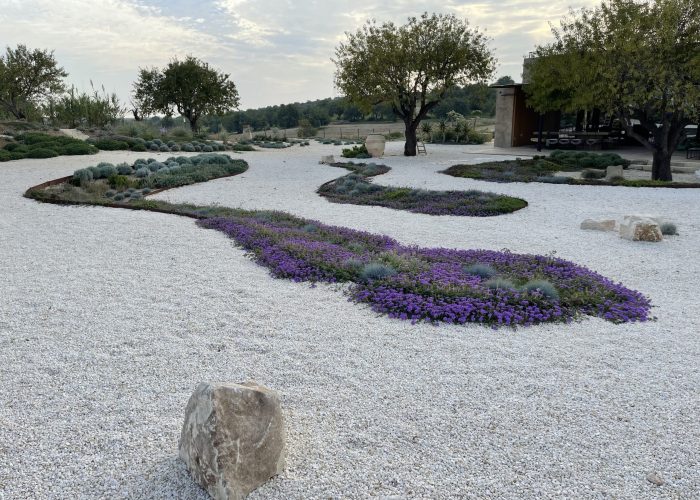giardino (13)