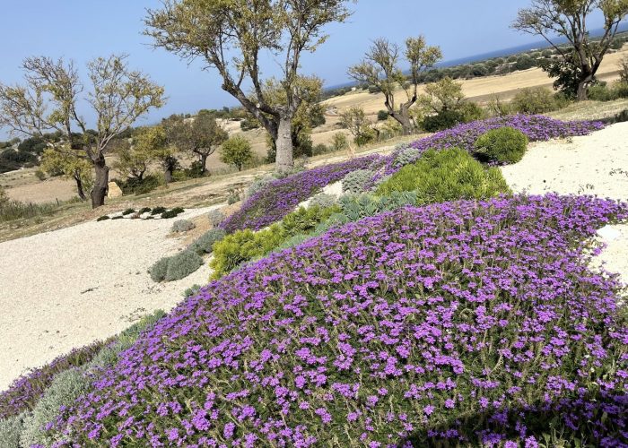 giardino (20)